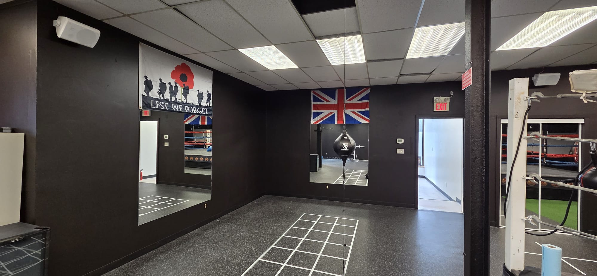 Lions Boxing gym photo 11