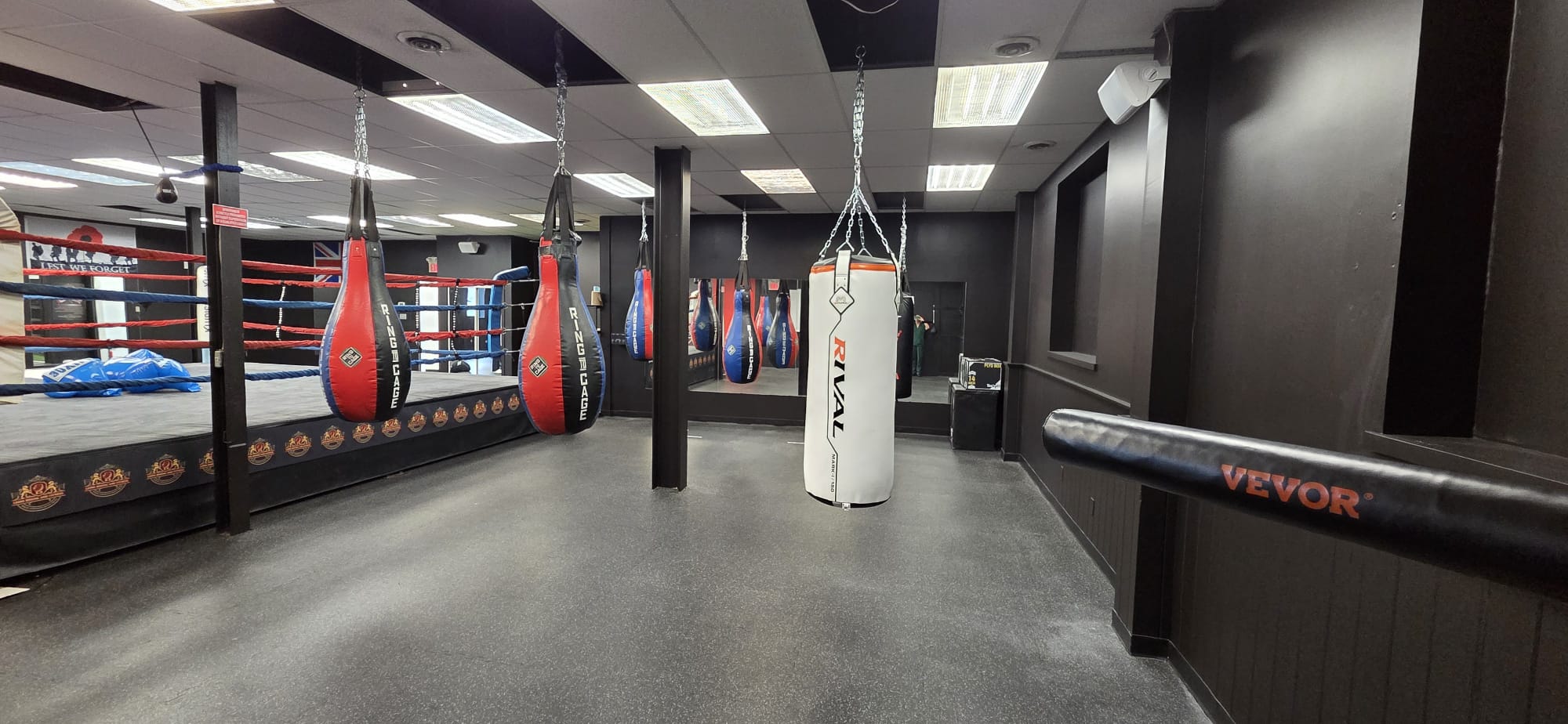 Lions Boxing gym photo 12