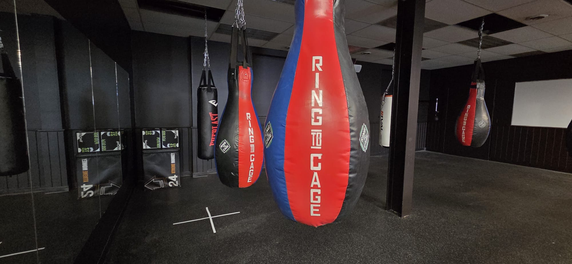 Lions Boxing gym photo 13