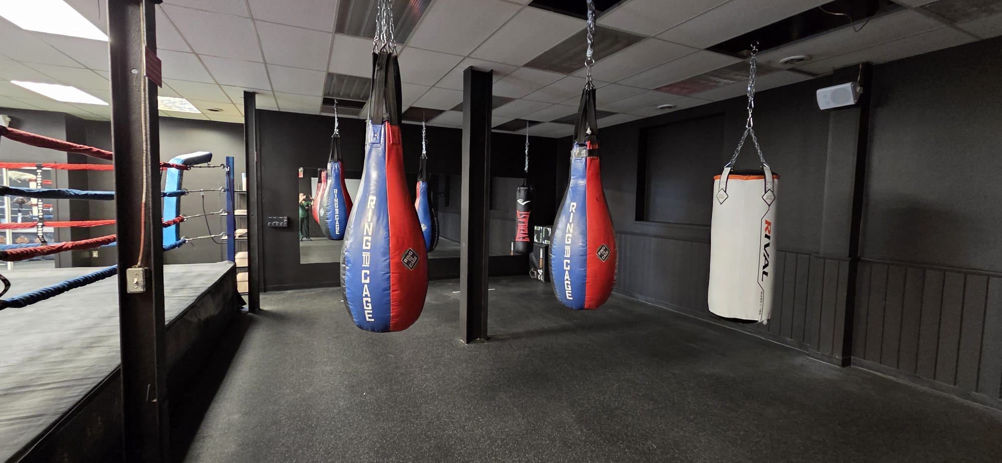 Lions Boxing gym photo 14