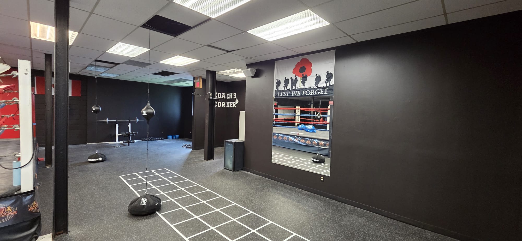 Lions Boxing gym photo 16