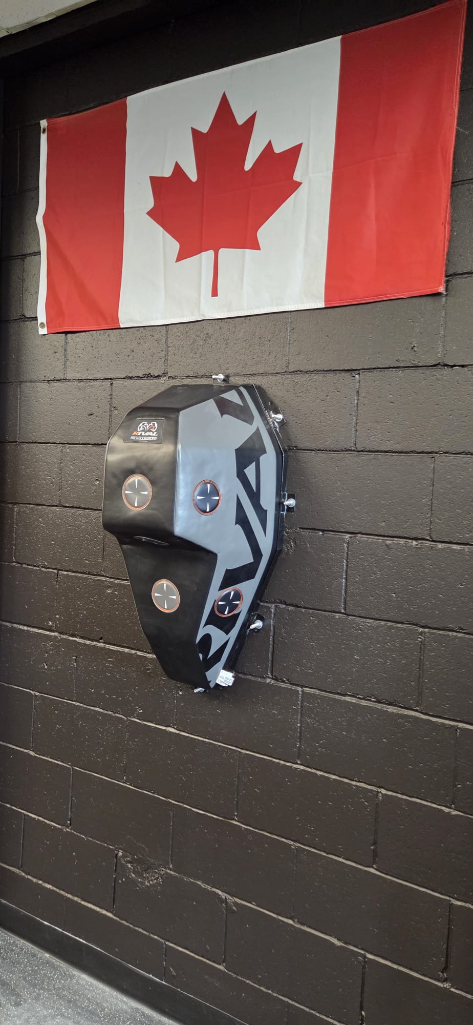 Lions Boxing gym photo 18