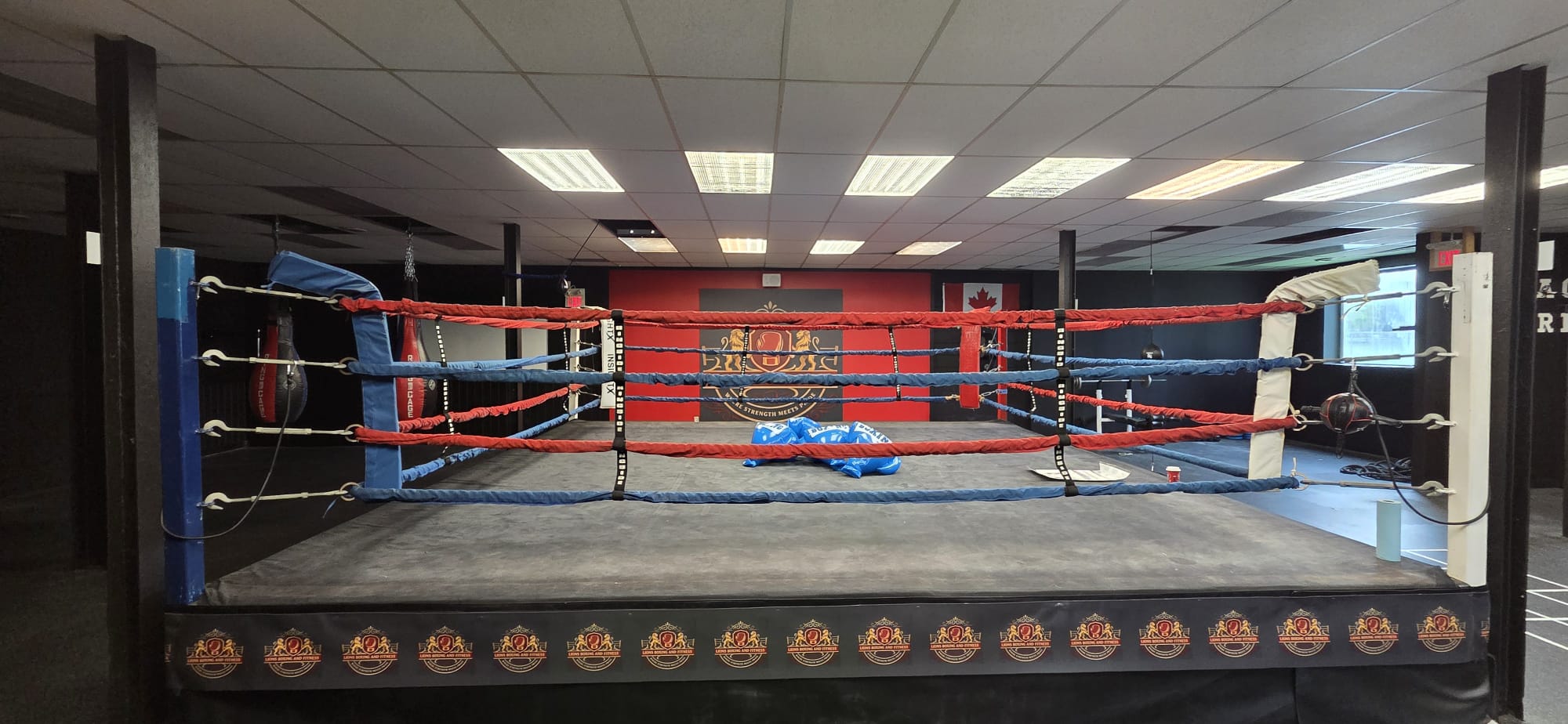 Lions Boxing gym photo 19