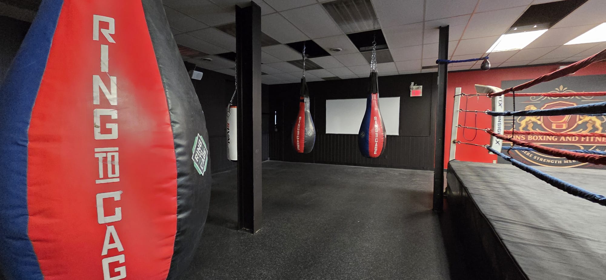 Lions Boxing gym photo 22