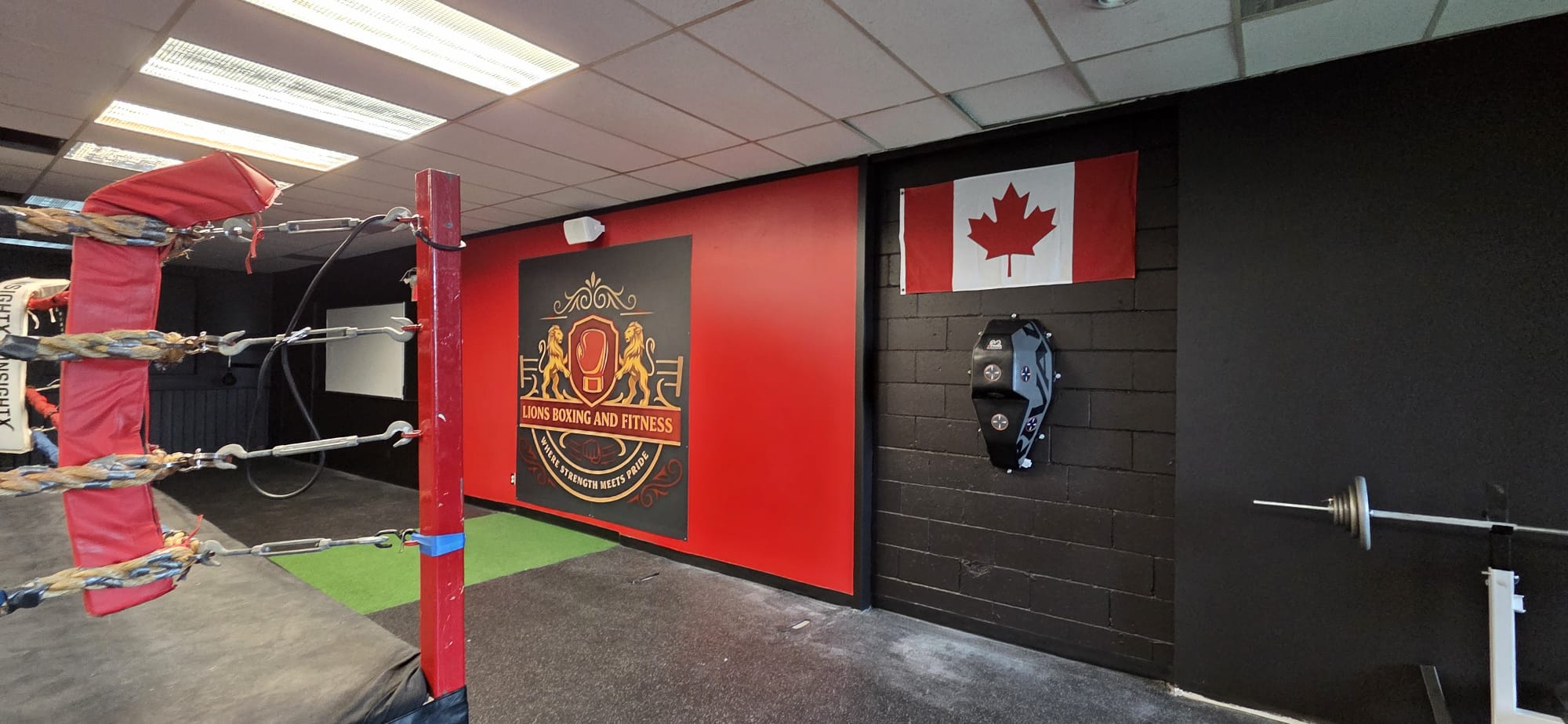 Lions Boxing gym photo 23