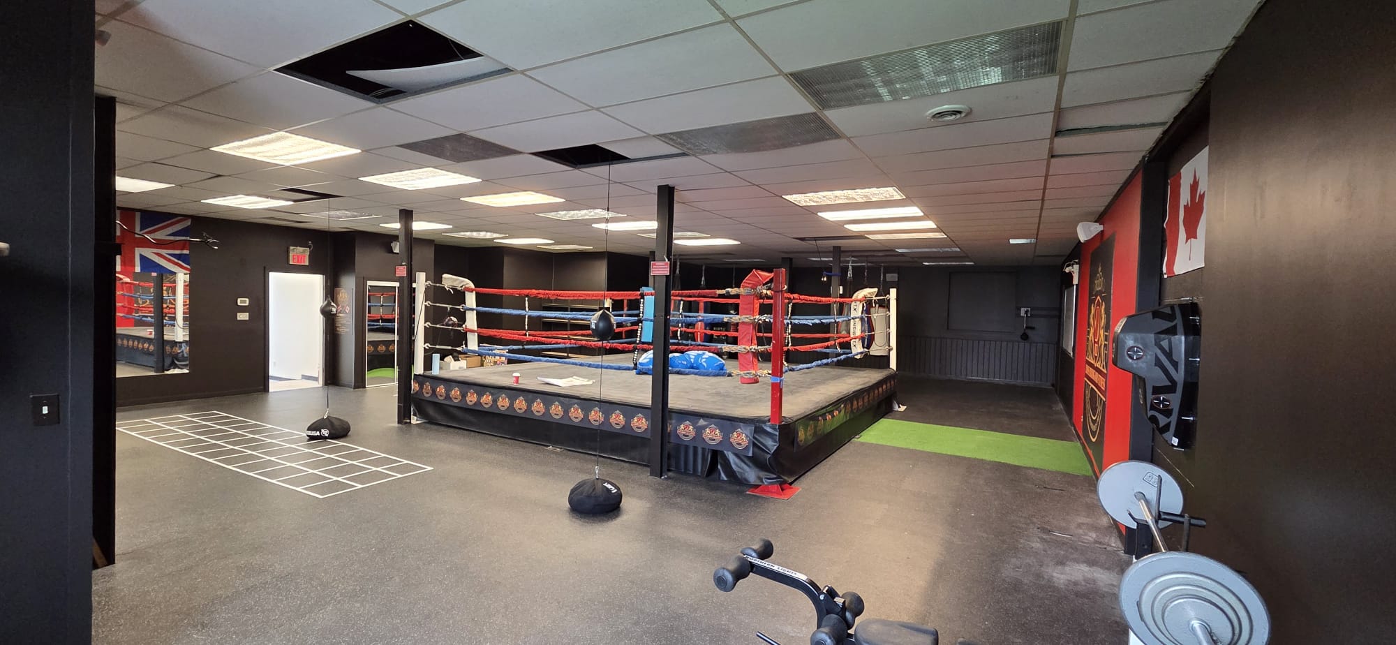 Lions Boxing gym photo 24