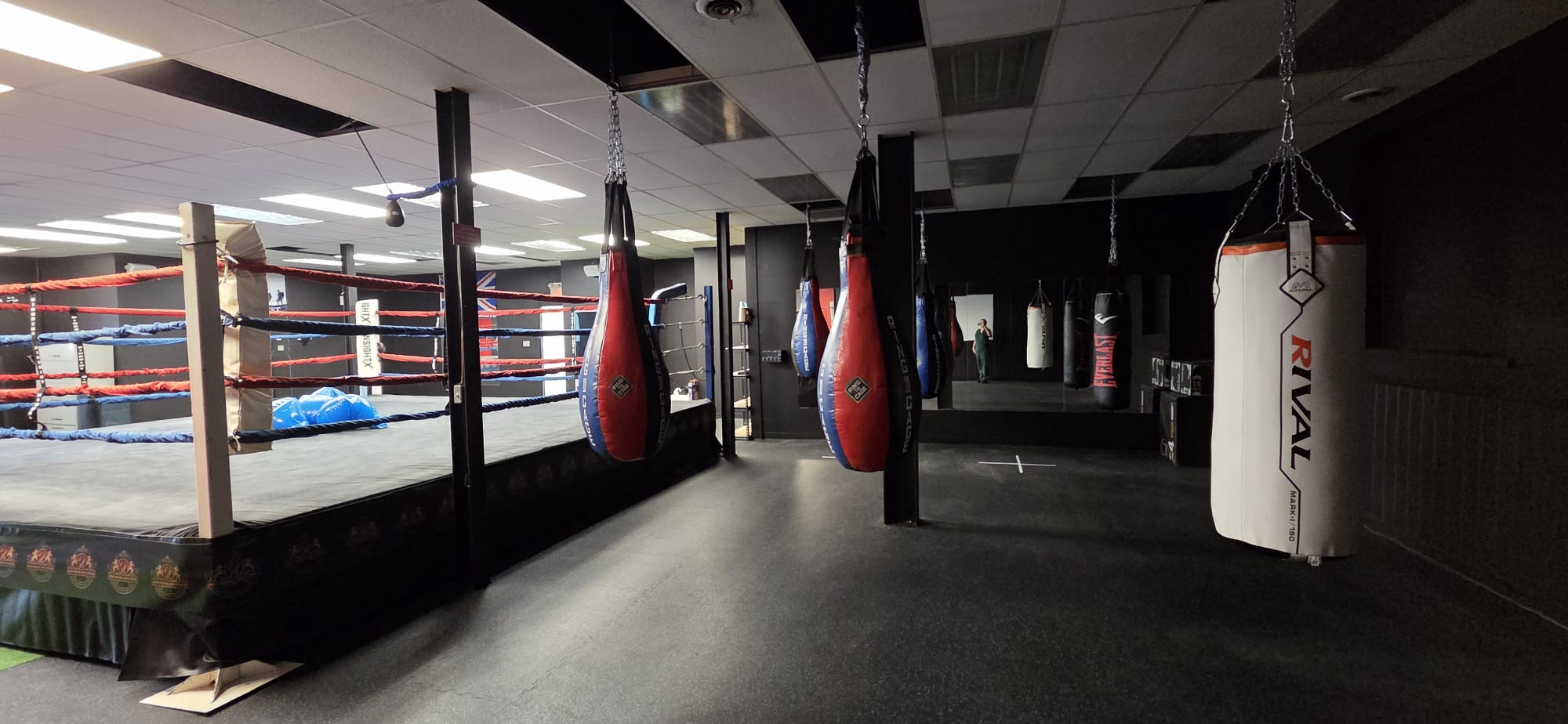 Lions Boxing gym photo 25