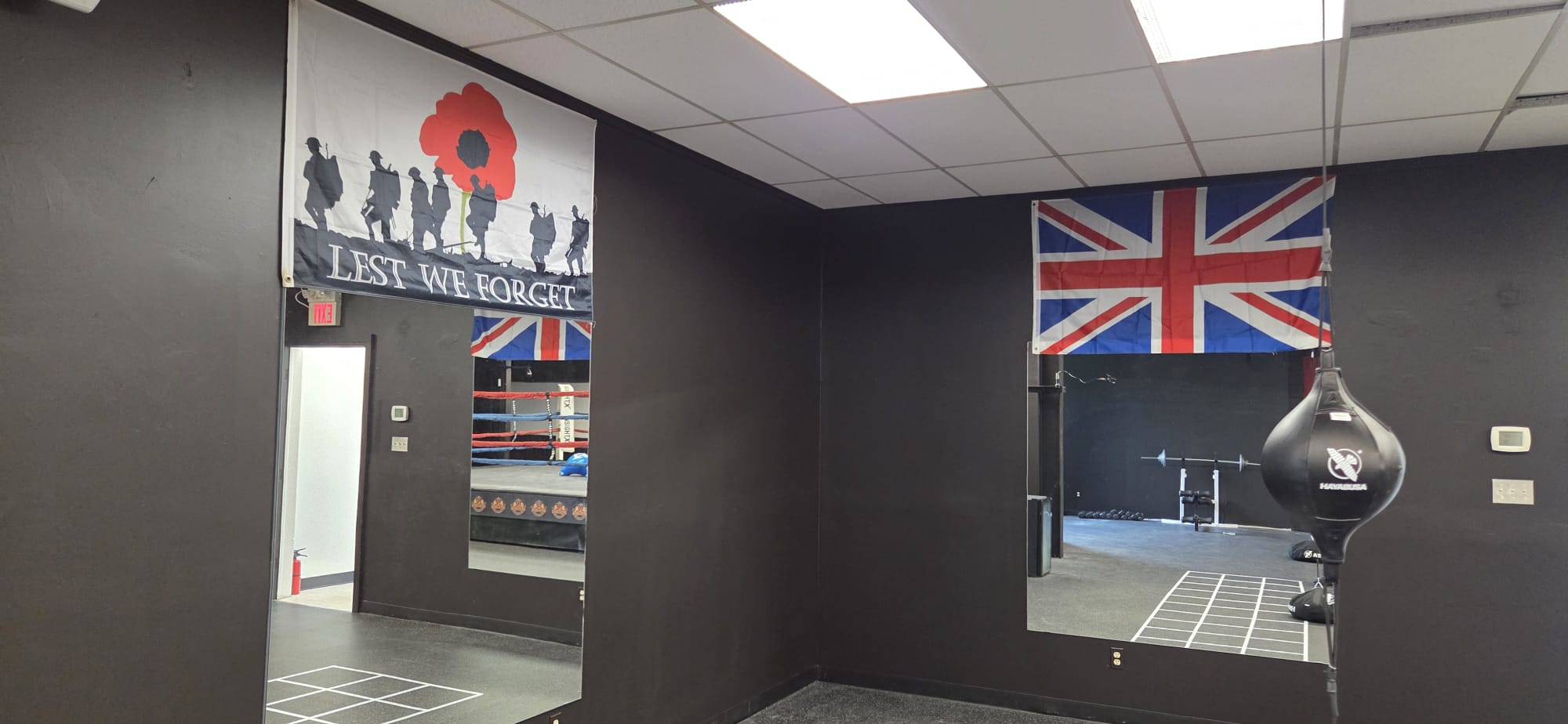 Lions Boxing gym photo 29