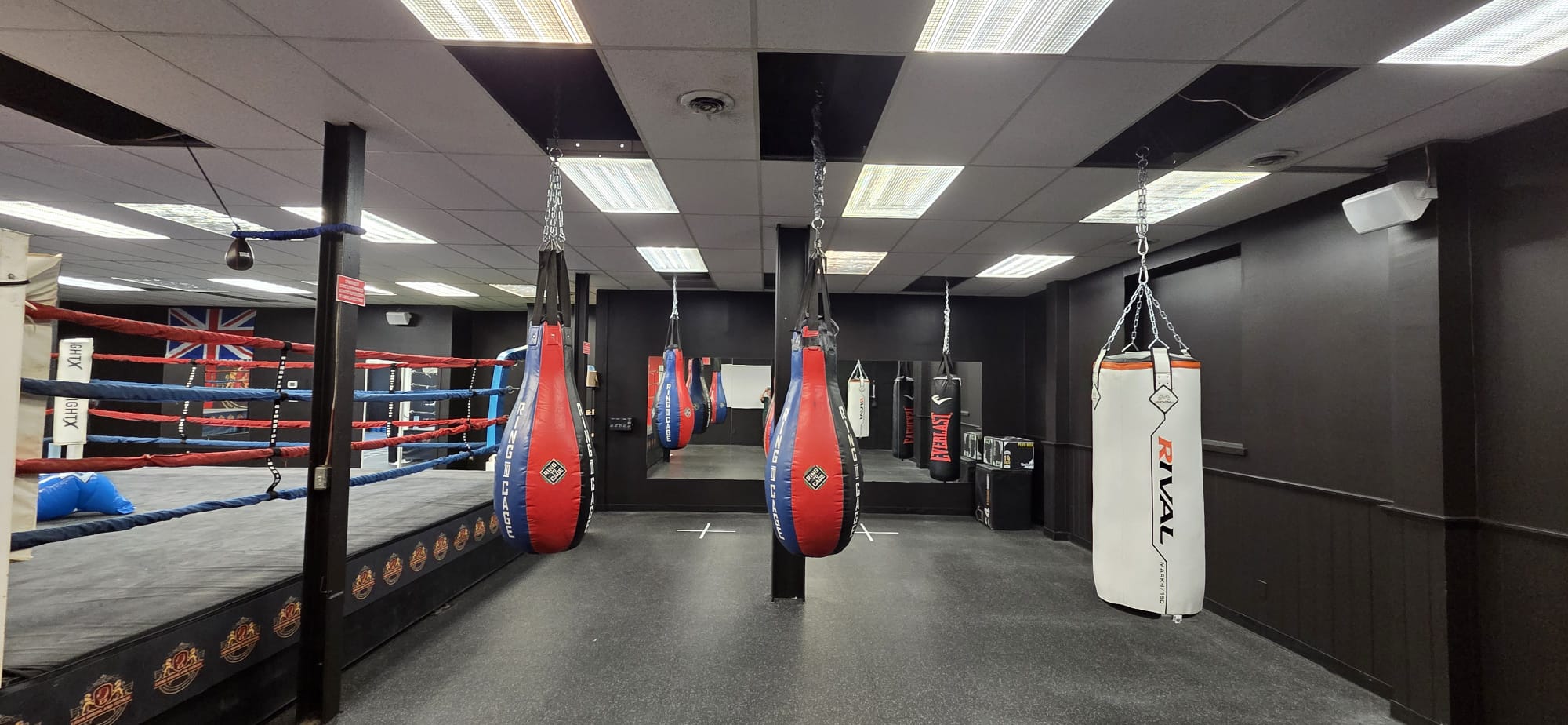 Lions Boxing gym photo 8